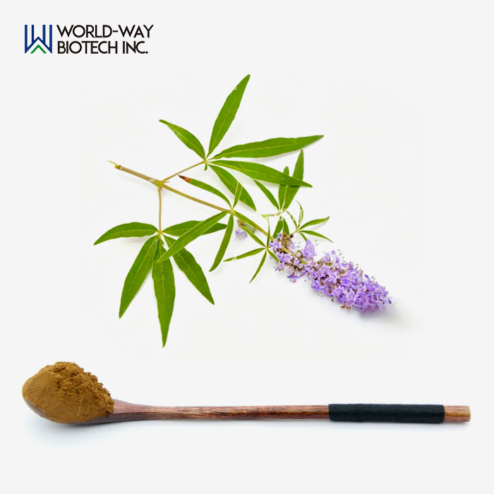 Vitex Agnus Castus Extract Powder Vitex Agnus Castus Extract Powder